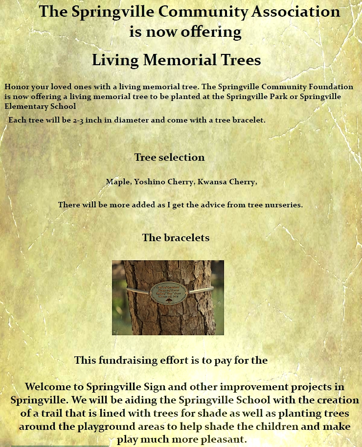 Springville, Indiana 47462 Community site