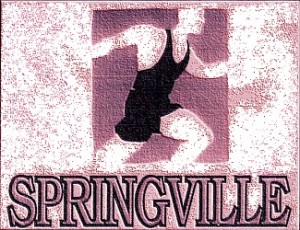 Springville 5K